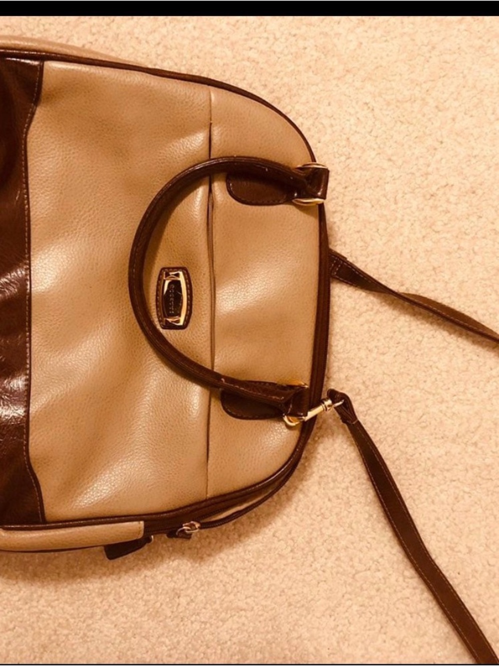 Tan and Dark Brown Structured crossbody vintage beige bag